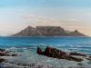 "Table Mountain South Africa"