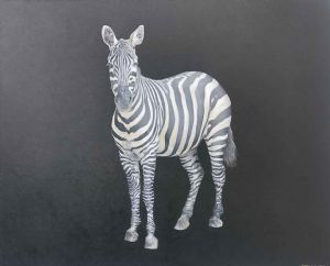 "Zebra IV"