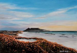 "Table Mountain South Africa"