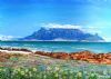 "Table Mountain South Africa"