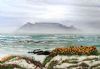 "Table Mountain South Africa"