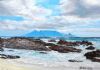 "Table Mountain South Africa"