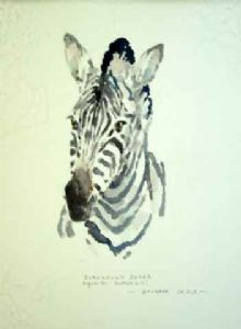 "Zebra "