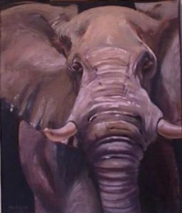 "Elephant"