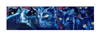 "Midnight Cats"