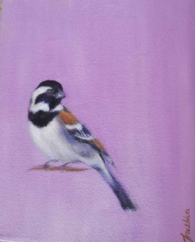 "Sparrow - Lilac"