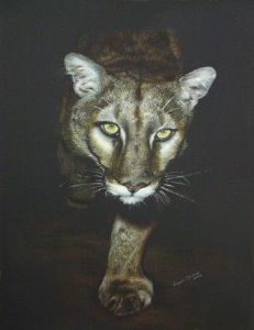 "Night eyes"
