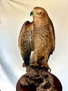 "King Eagle"