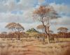 "Bushveld Scene with Kudu"