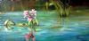 "Reflection of a Lily"