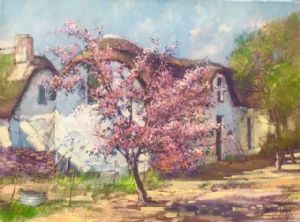 "Blossom and Thatch, Clanwilliam"