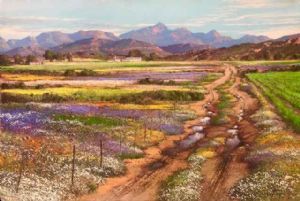"Spring Flowers in the Biedouw Valley"