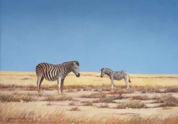 "Etosha Memories"