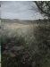 Winterton III