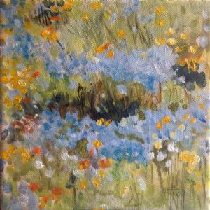 "Langebaan Flower Route"