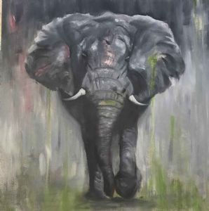 "African Elephant"