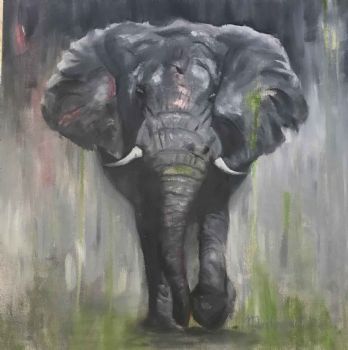 "African Elephant"