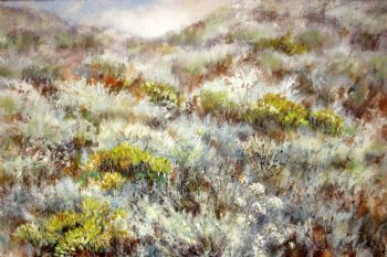 "Yellow and Grey Fynbos"