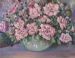 Pink Roses