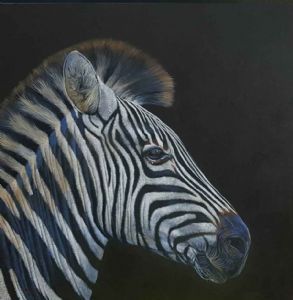 "White on Black. Zebra Portrait "