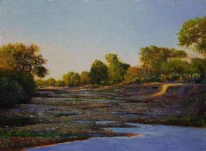"Kruger Park Wilderness 3 "