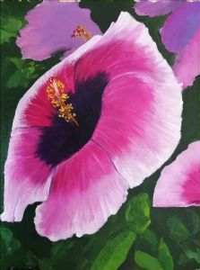 "Hibiscus"