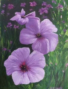 "Geranium "