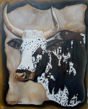 "Nguni Bull"