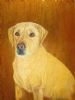 "Budza Giclee Print"