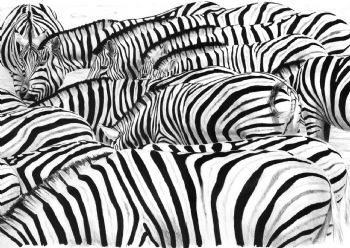 "Etosha"