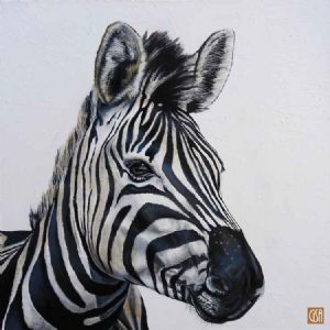 "Zebra Portrait"
