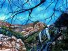 "Walter Sisulu Botanical Gardens"