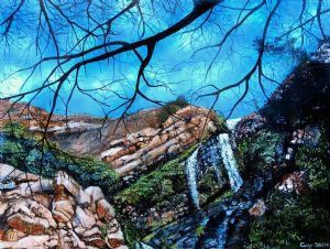 "Walter Sisulu Botanical Gardens"