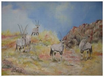 "Oryx - Gemsbuck"