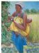 Mango Pickers
