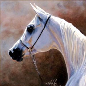 "Arabian Mare"