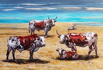 "Nguni Cows on the beach"