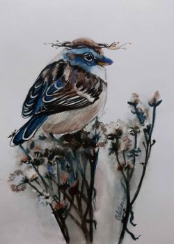 "Birding in Brown and Blue I"