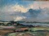 "Patchwork Landscape"
