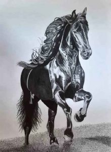 "Black Beauty"