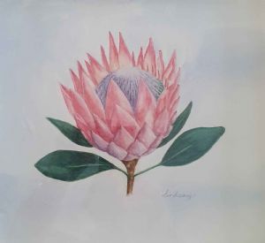 "Protea"