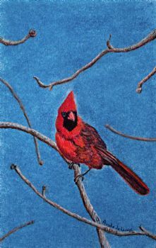 "Red Cardinal"
