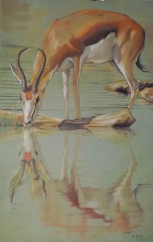 "Calm Reflections"