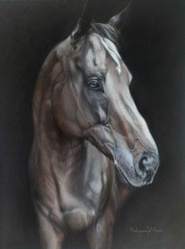 "Horse Called Ted"