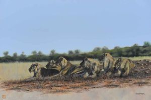 "Pride of Africa"