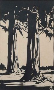 "Bluegum Trees "