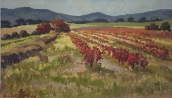 "Paarl Farmstead and Vineyard Scene"