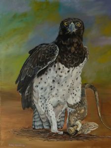"Martial Eagle / Breekop Aarend"