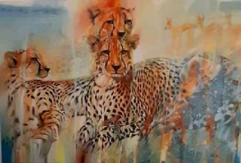 "Cheetah"
