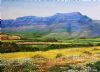 "Clanwilliam Flower Season"